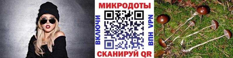 Псилоцибиновые грибы Magic Shrooms  Мичуринск 